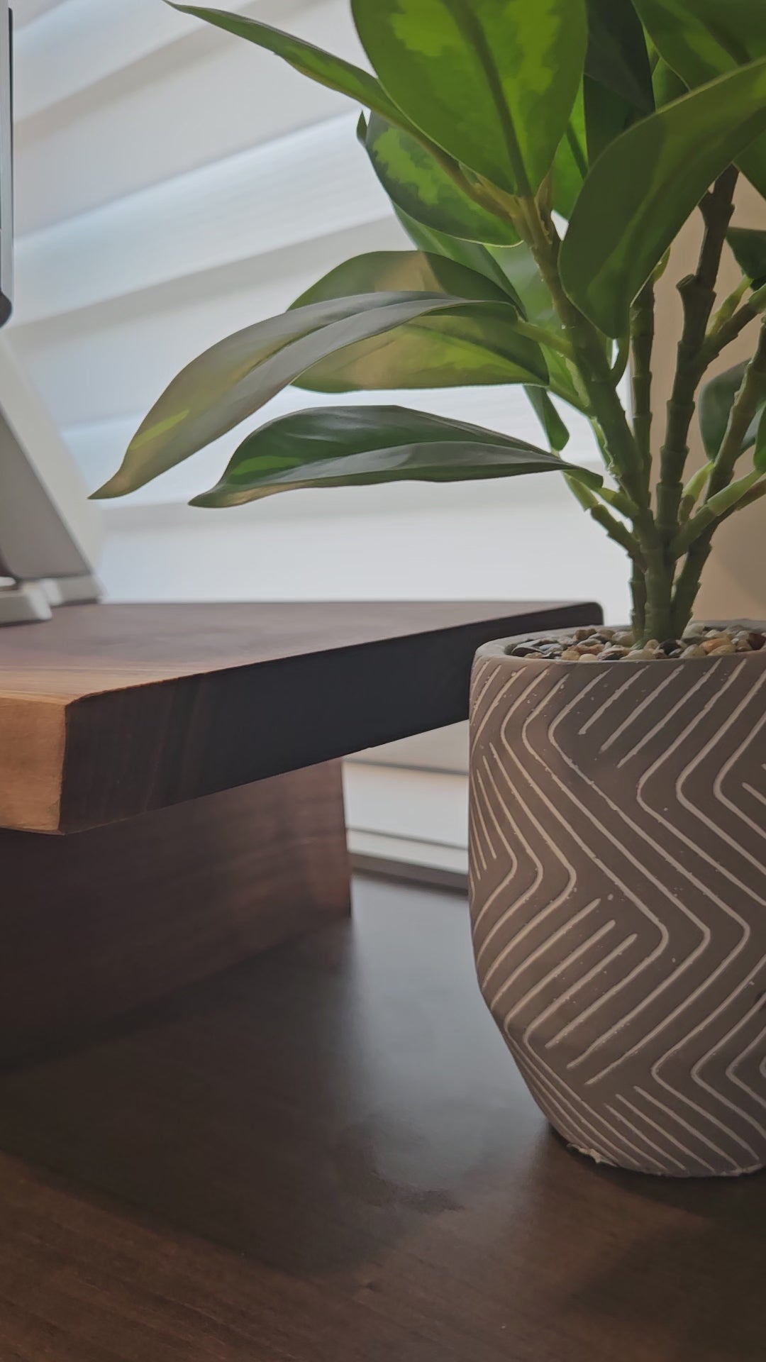 Live Edge Walnut Monitor Riser